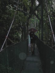 05-Bridge over the Sarapique river